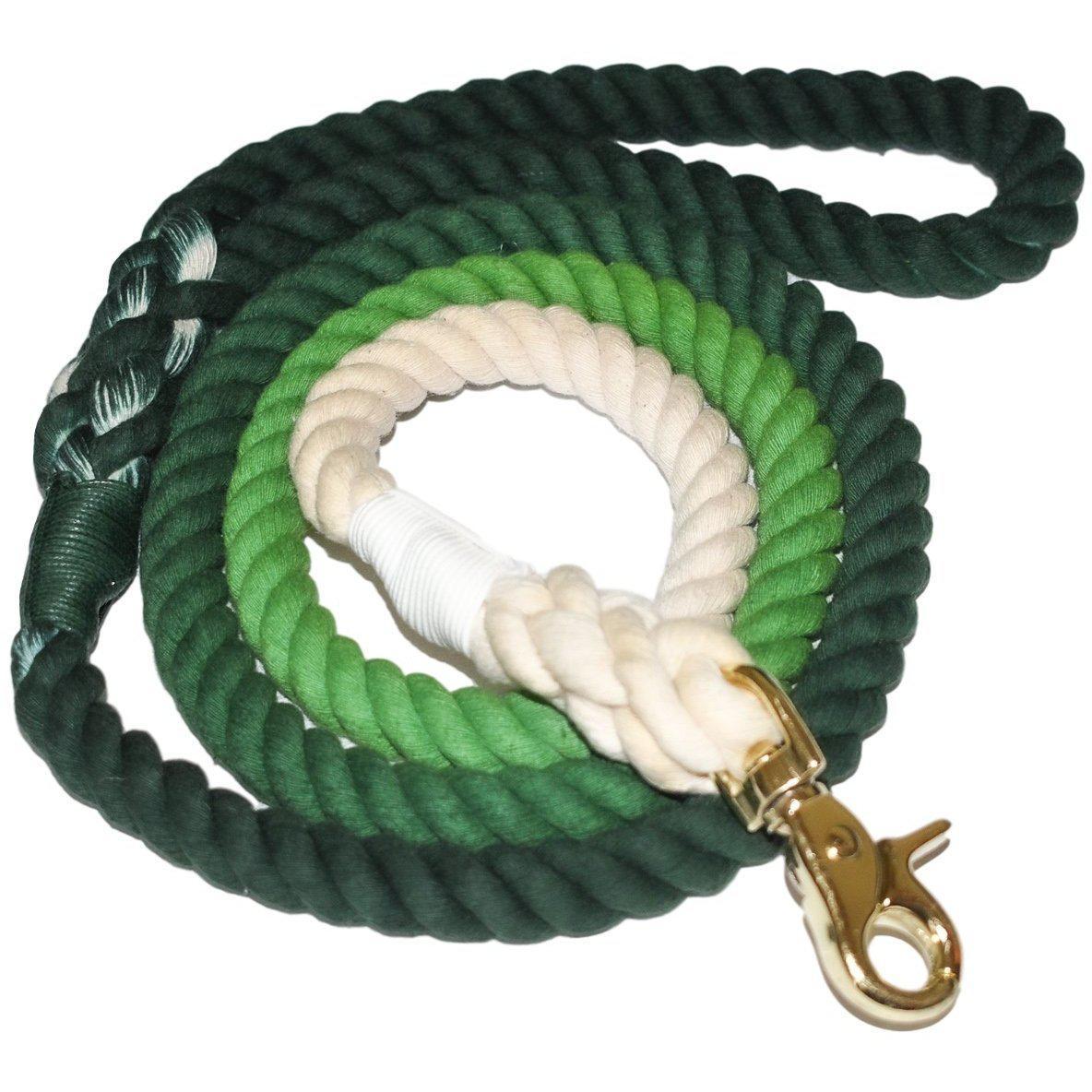 Dog Leash: Sun and Moon Aloe