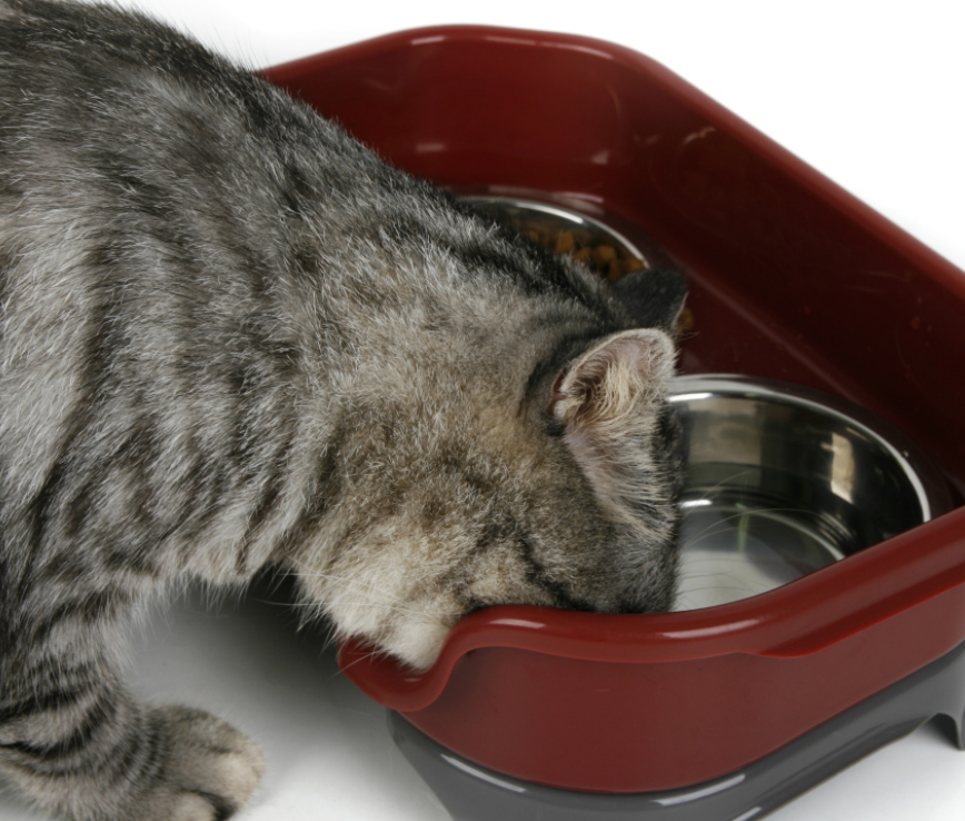 Pet bowl cat double basin splash-proof stainless steel bowl